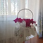فندق مبيت وإفطار Mary's House تْشامبينو