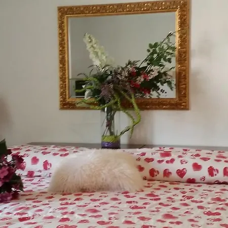 Mary's House تْشامبينو