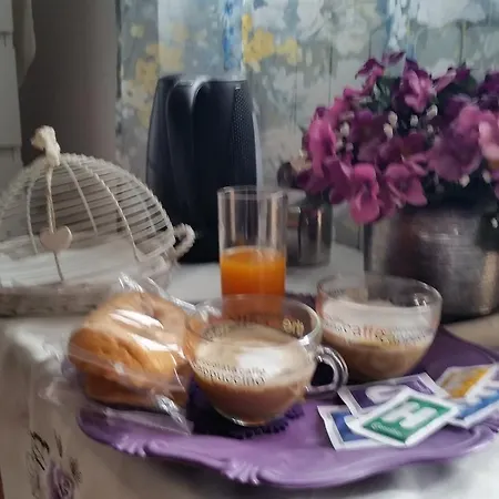 Mary's House Bed & Breakfast Ciampino