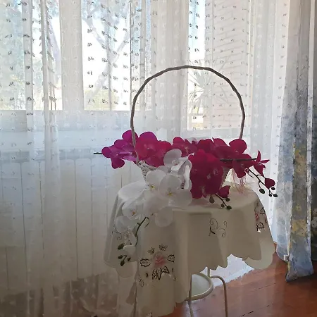 Bed & Breakfast Mary's House Ciampino